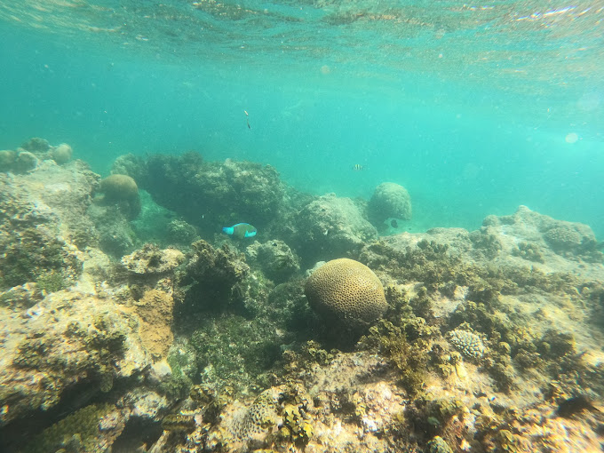 Watamu Goggle Boat