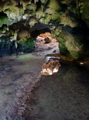 African Barn Owl Cave