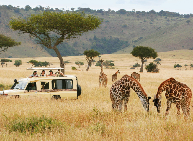 African Memorable Safaris