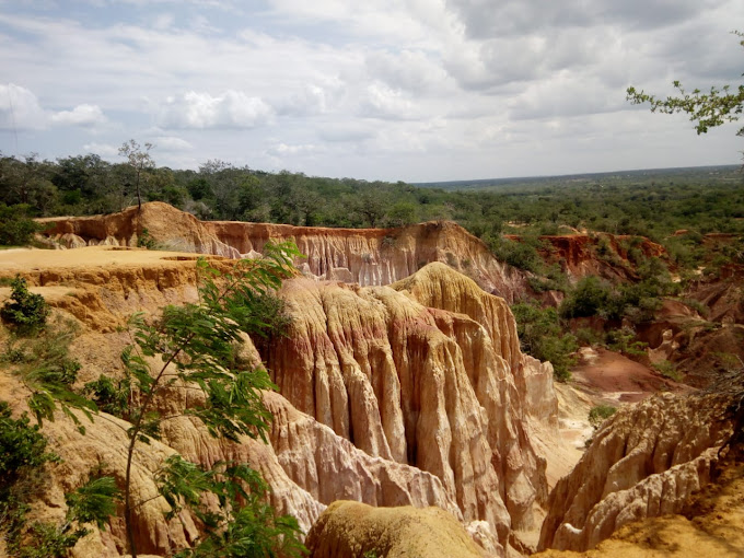 Berur Toiyo Safaris