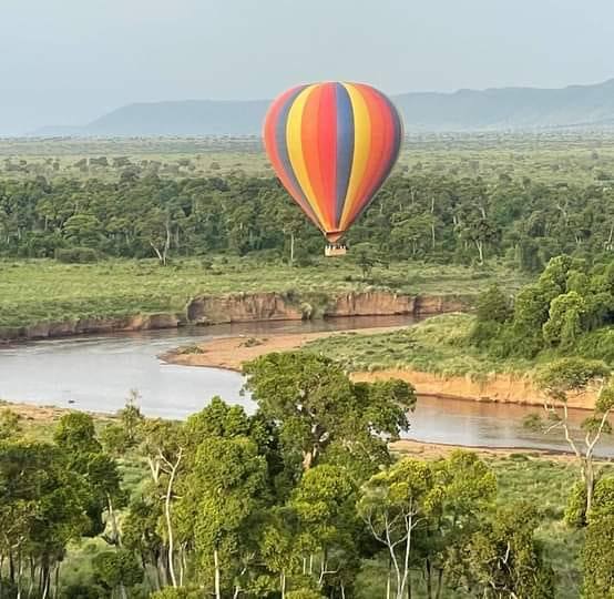 Bushtop Kenya Safaris