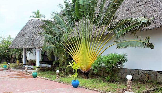 Diani Bay Resort