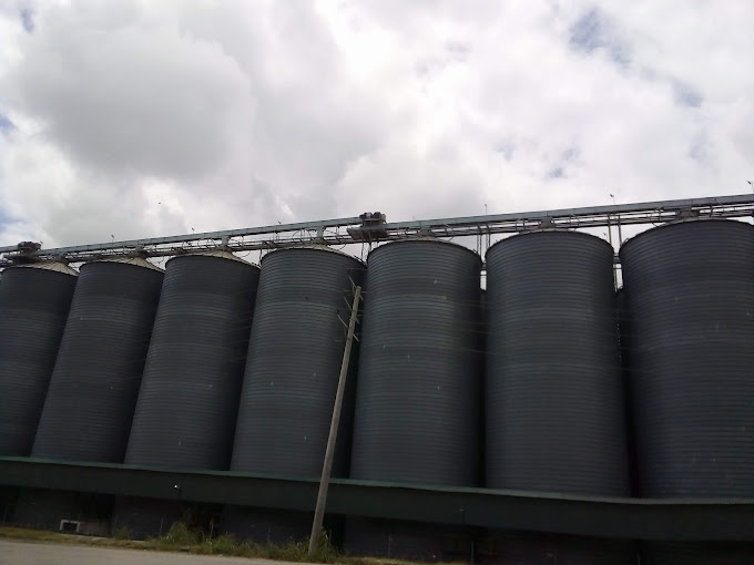 Grain Bulk Handlers Ltd