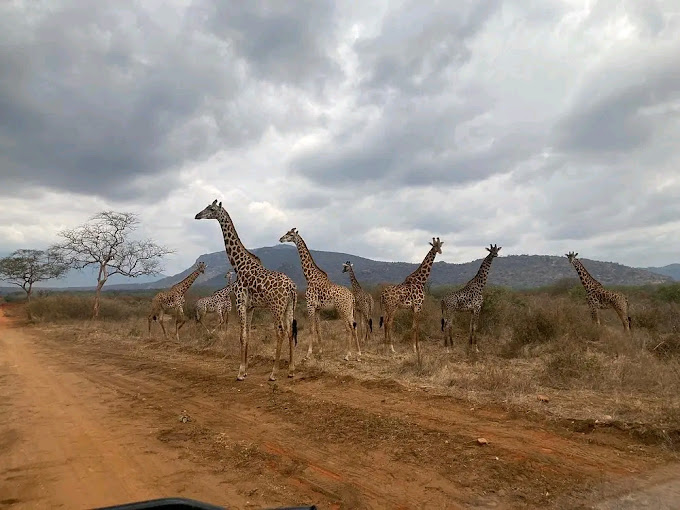 Il Sole del Kenya