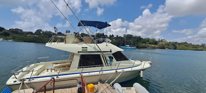 MV Vienna SportFishing Charters and Boatrides