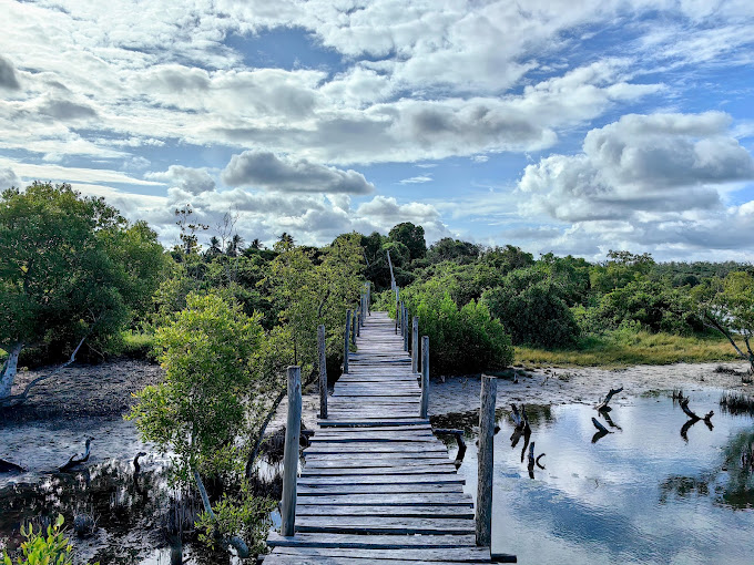 Mida Board walk