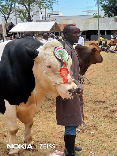 Mombasa International Show Ground