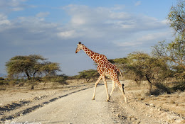 Nurali Safaris Kenya