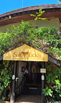 Salt Lick Safari Lodge