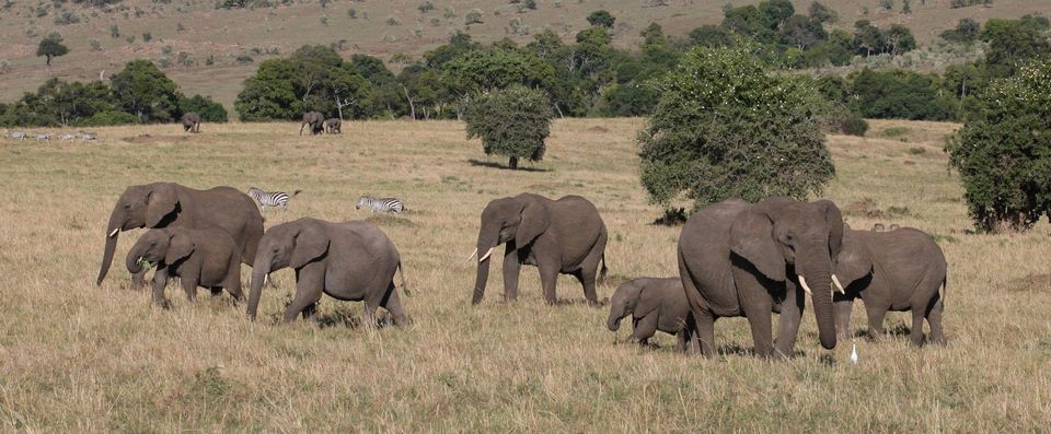 Victory expeditions Tours & Safaris