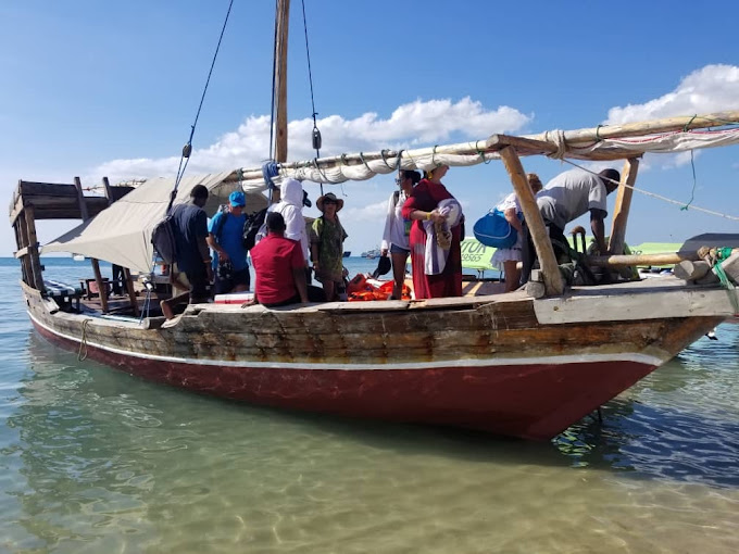 Watamu Dolphin Tours