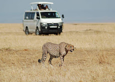 Routescape Travels Kenya LTD