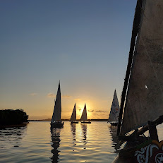 Cpt Moroko dhow sailing