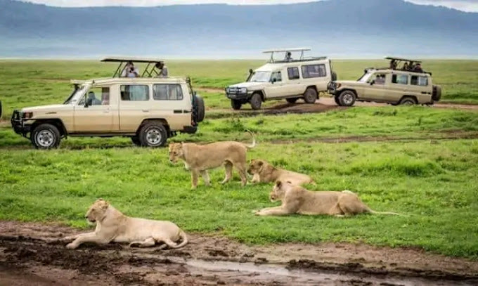 Kimwinzi Africa Safaris