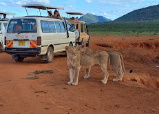 Msherembe Safaris and Travel Voi Tsavo