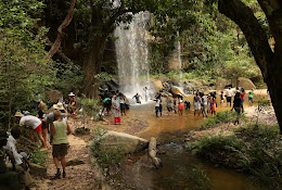 Sheldrick's Falls