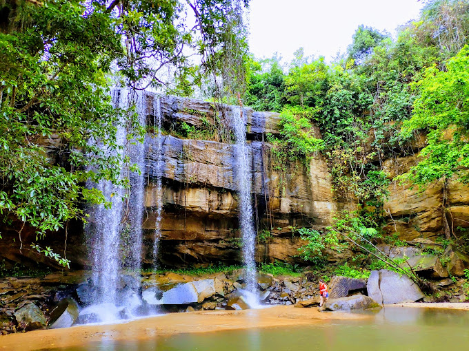 Shimba Hills National Reserve