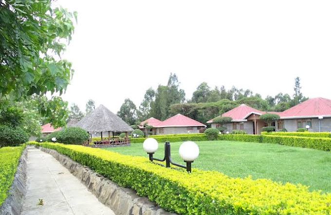 Tumaini Cottages and Conference Centre