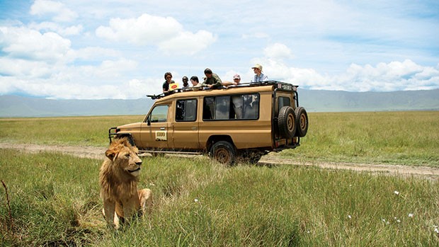 Adventure Upgrade Safaris Ltd