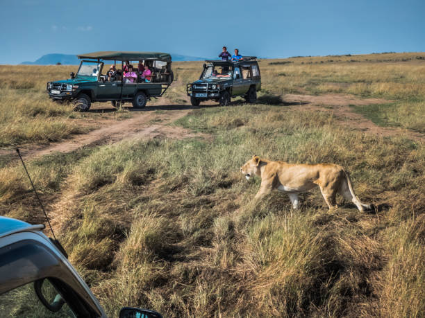 Dusty Rest Safaris