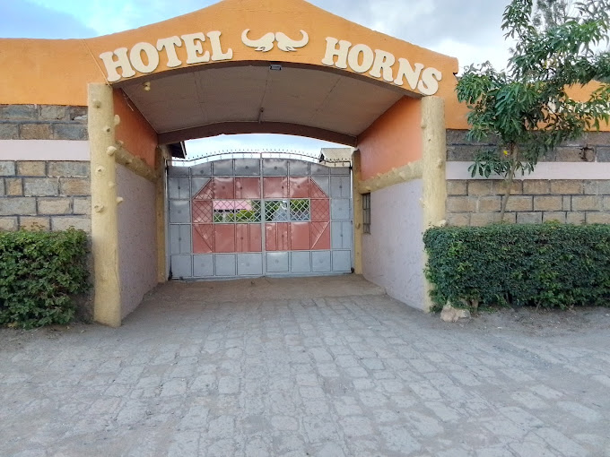 Hotel Horns