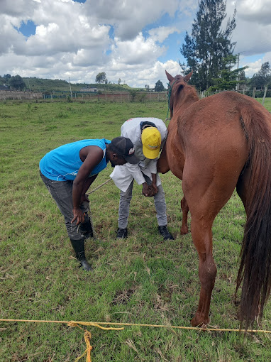 Nevas Veterinary Services Eldoret