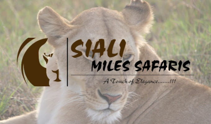 Siali Miles Safaris