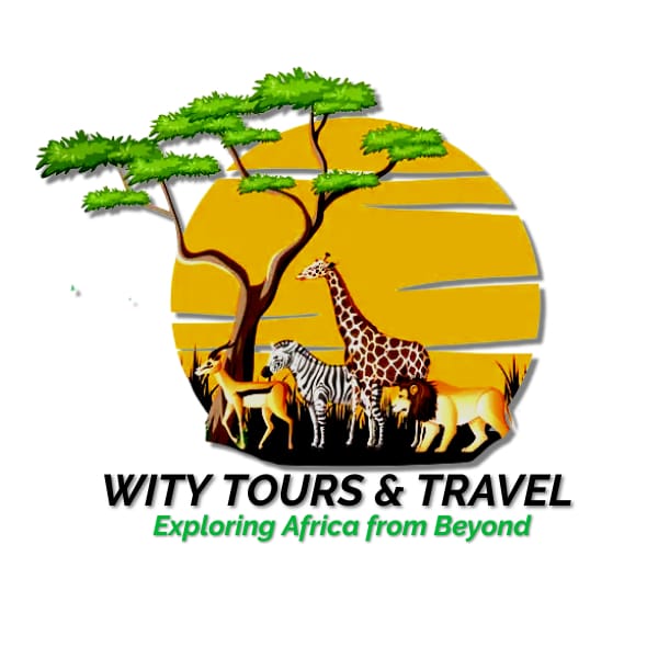 Wity Tours and Travel