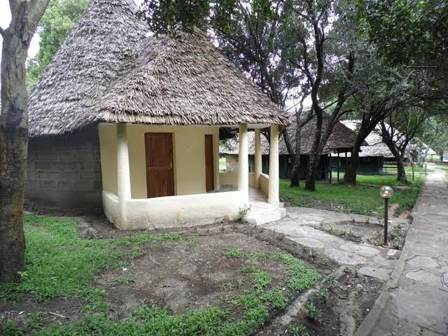 Mara Ndovu Lodge