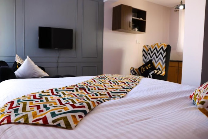 City Nests And Homestays