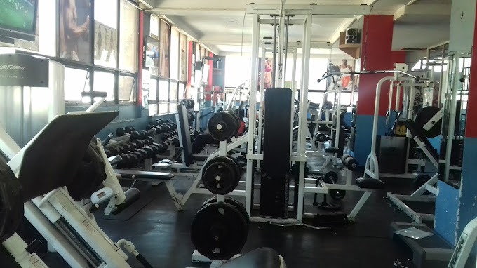 Great Body Gym Limited