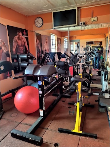 Gym Rocks